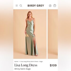 Birdy Grey Lisa Long Dress in Shiny Satin Sage